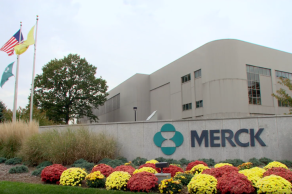 Image for Video Corporativo 130 años